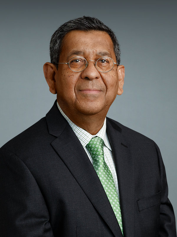 Faculty profile photo of Aravinda  Chakravarti