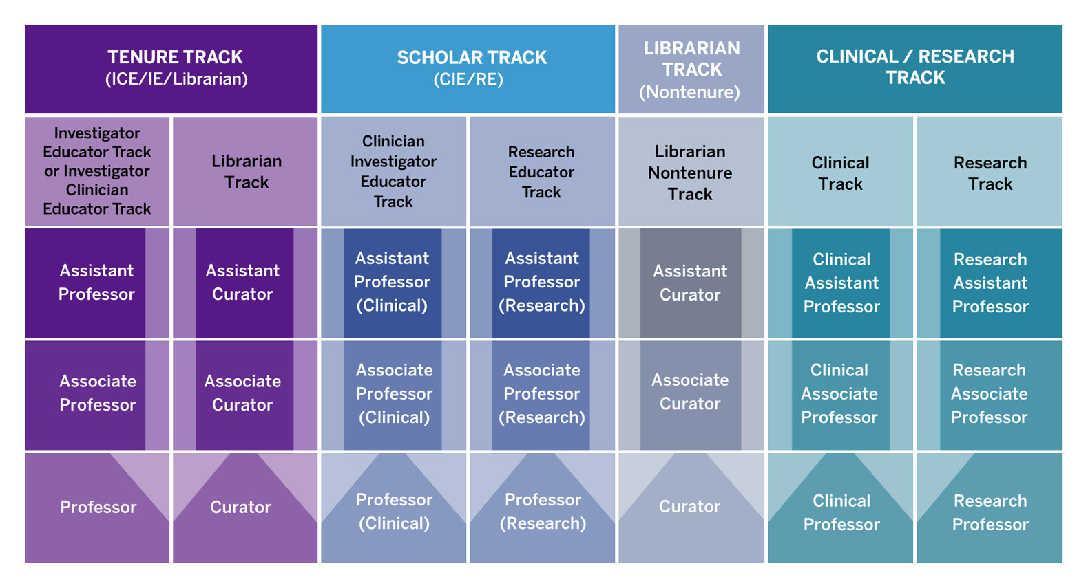 faculty-track-chart.jpg
