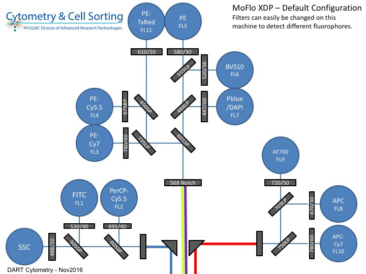 Configuration of the MoFlo XDP Cell Sorter