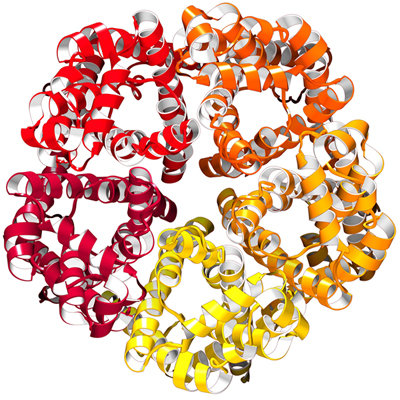 Structures of the Formate Channel FocA from Vibrio Cholerae