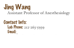 Jing Wang    Assistant Professor of Anesthesiology    
Contact Info: 
    Lab Phone: 212-263-5939
    Email: Jing.Wang2@nyumc.org