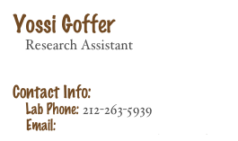Yossi Goffer
    Research Assistant 


Contact Info: 
    Lab Phone: 212-263-5939
    Email: Yossef.Goffer@nyumc.org 