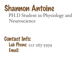 Shannon Antoine
    PH.D Student in Physiology and 
    Neuroscience      


Contact Info: 
    Lab Phone: 212-263-5939
    Email: Shannon.Antoine@nyumc.org