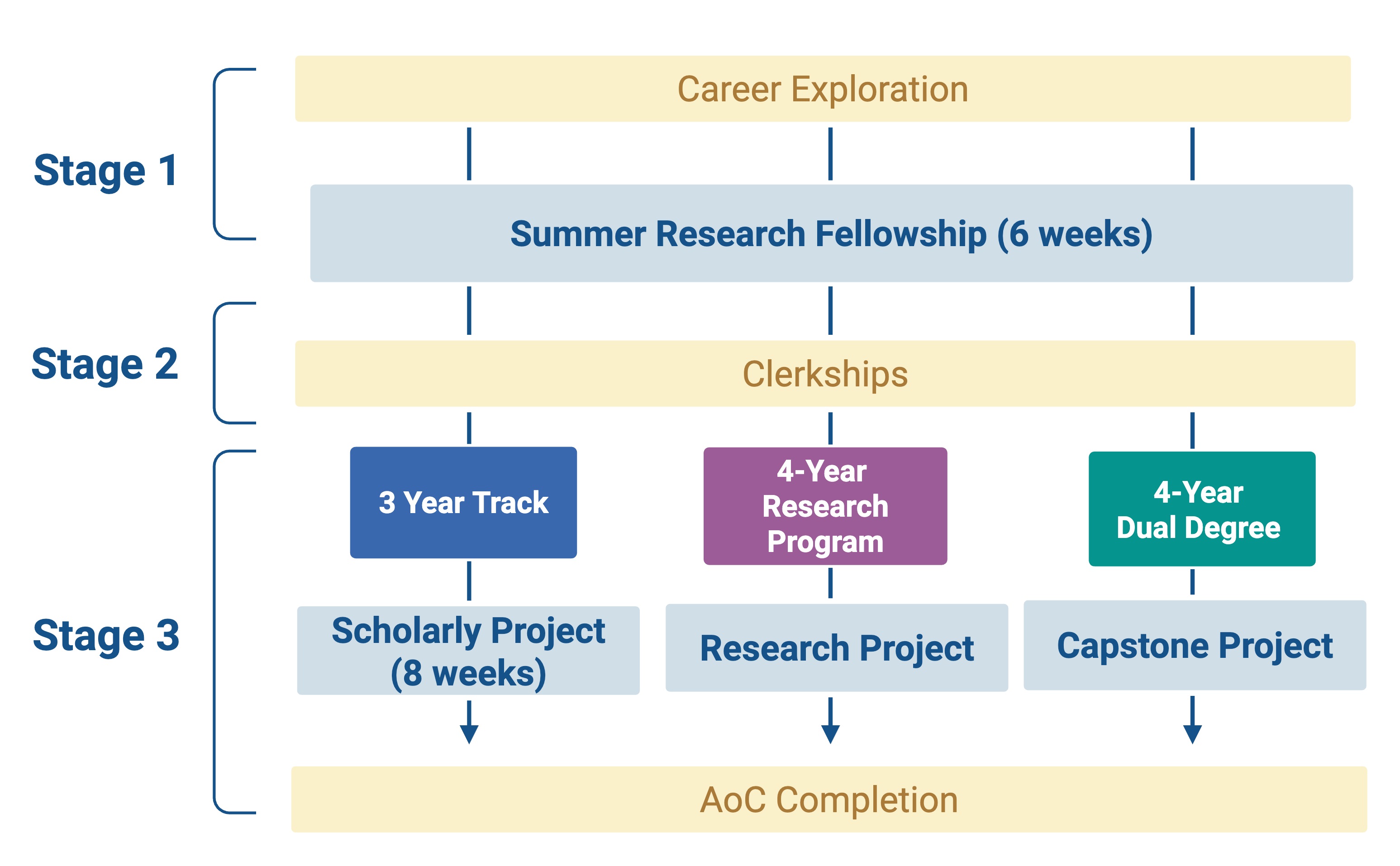 Students holding certificates and faculty stand in front of a screen reading 'Medical Student Summer Research Fellowship Poster Exhibition, July 24, 2024.